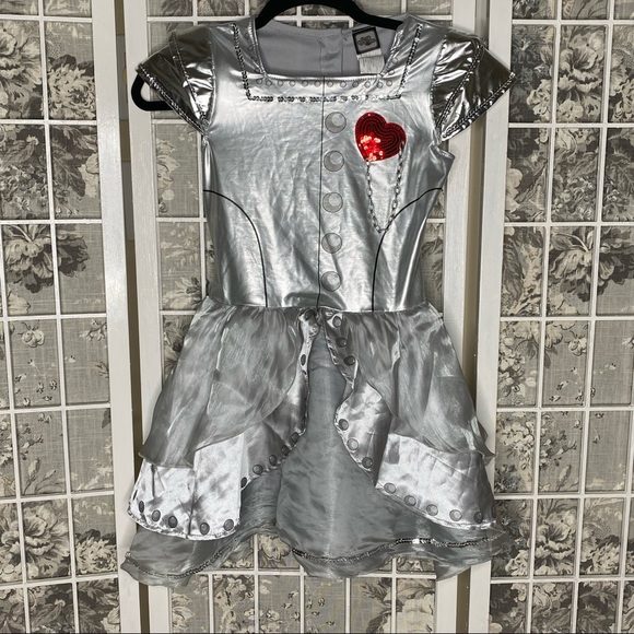 Other - Tin man Halloween Costume dress